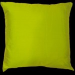 Empire Silk Cushion Lime 